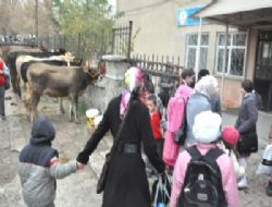 Olacak şey mi?